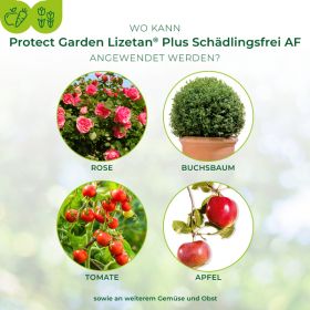 Lizetan Plus Konzentrat gegen Buchsbaumzünsler